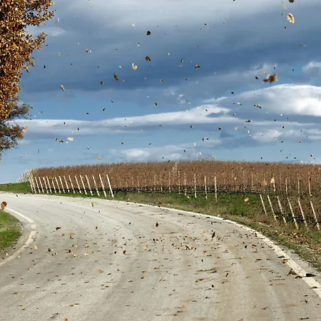 Hotel εσπερίδες