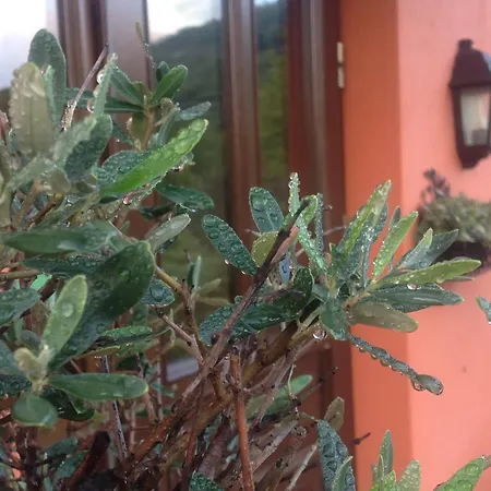 Отель εσπερίδες 3*