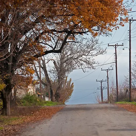 εσπερίδες 3*