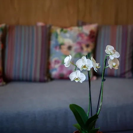 εσπερίδες Hotel Naousa (Imathia)