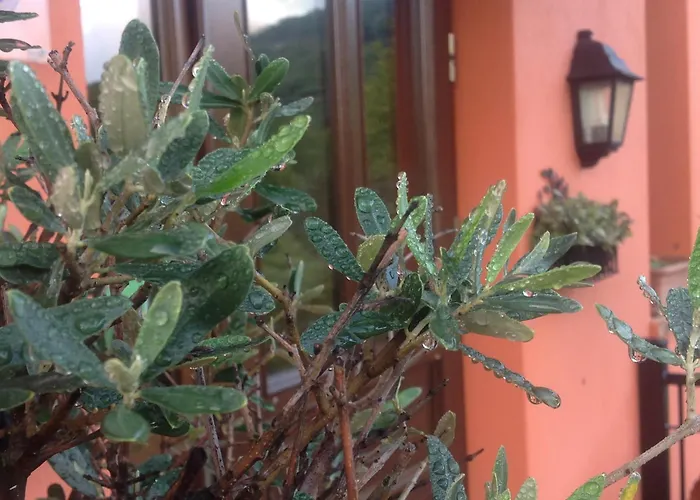 Hotel εσπερίδες 3*