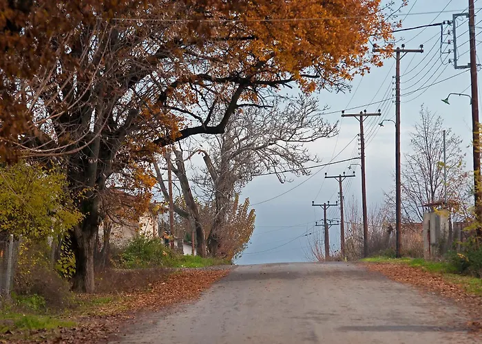 εσπερίδες 3*