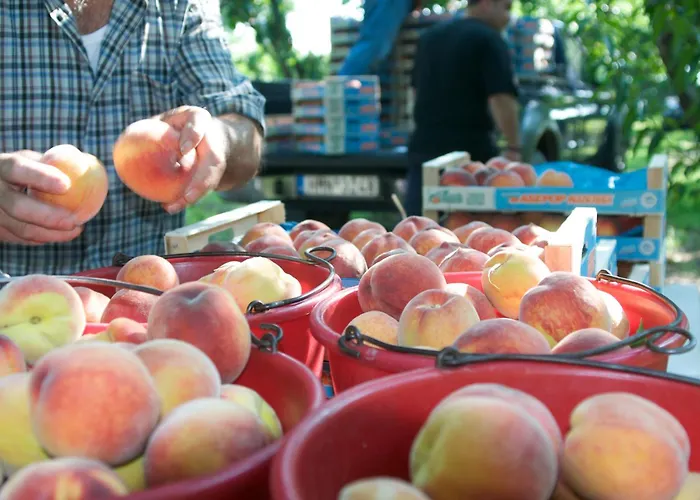 εσπερίδες 3*