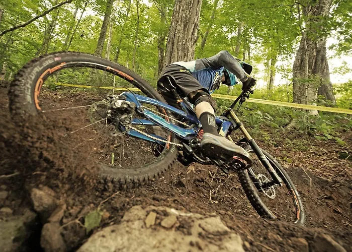 Hotel εσπερίδες Naousa (Imathia)