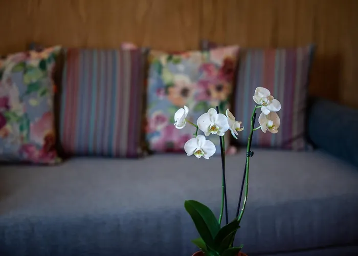 εσπερίδες Hotel Naousa (Imathia)